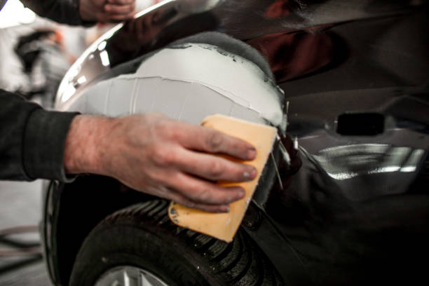 Reliable Fort Carson, CO Mold Removal Solutions
